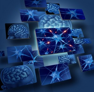Brain Neurons Concepts